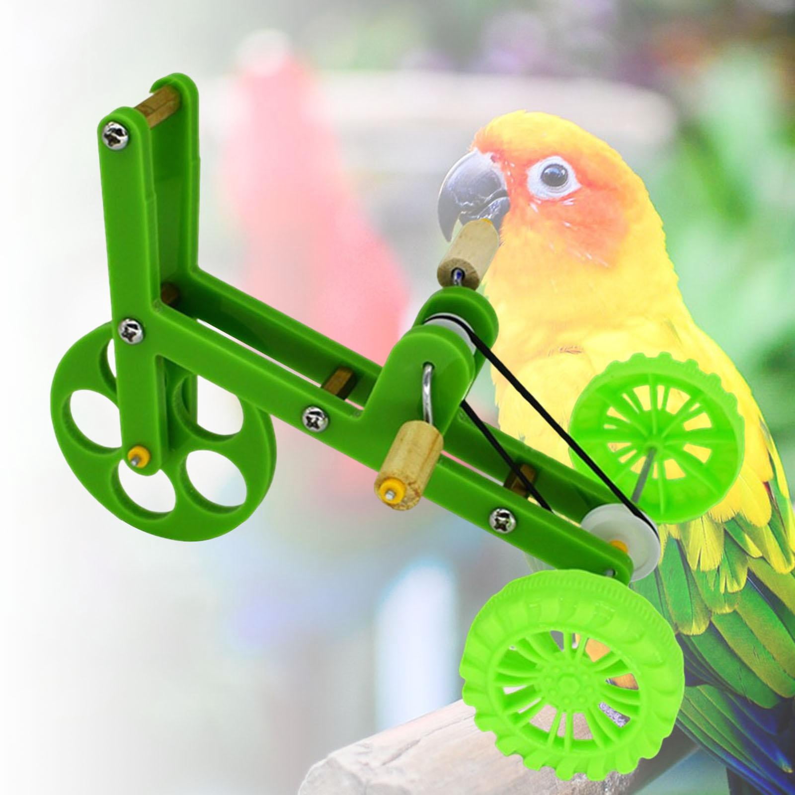Green Parrot Bike Toy Bird Training Interactive Props Puzzle Toy