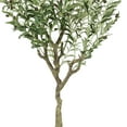 thumbnail image 5 of SAFAVIEH Faux Olive 60" Potted Tree, Green, 5 of 6