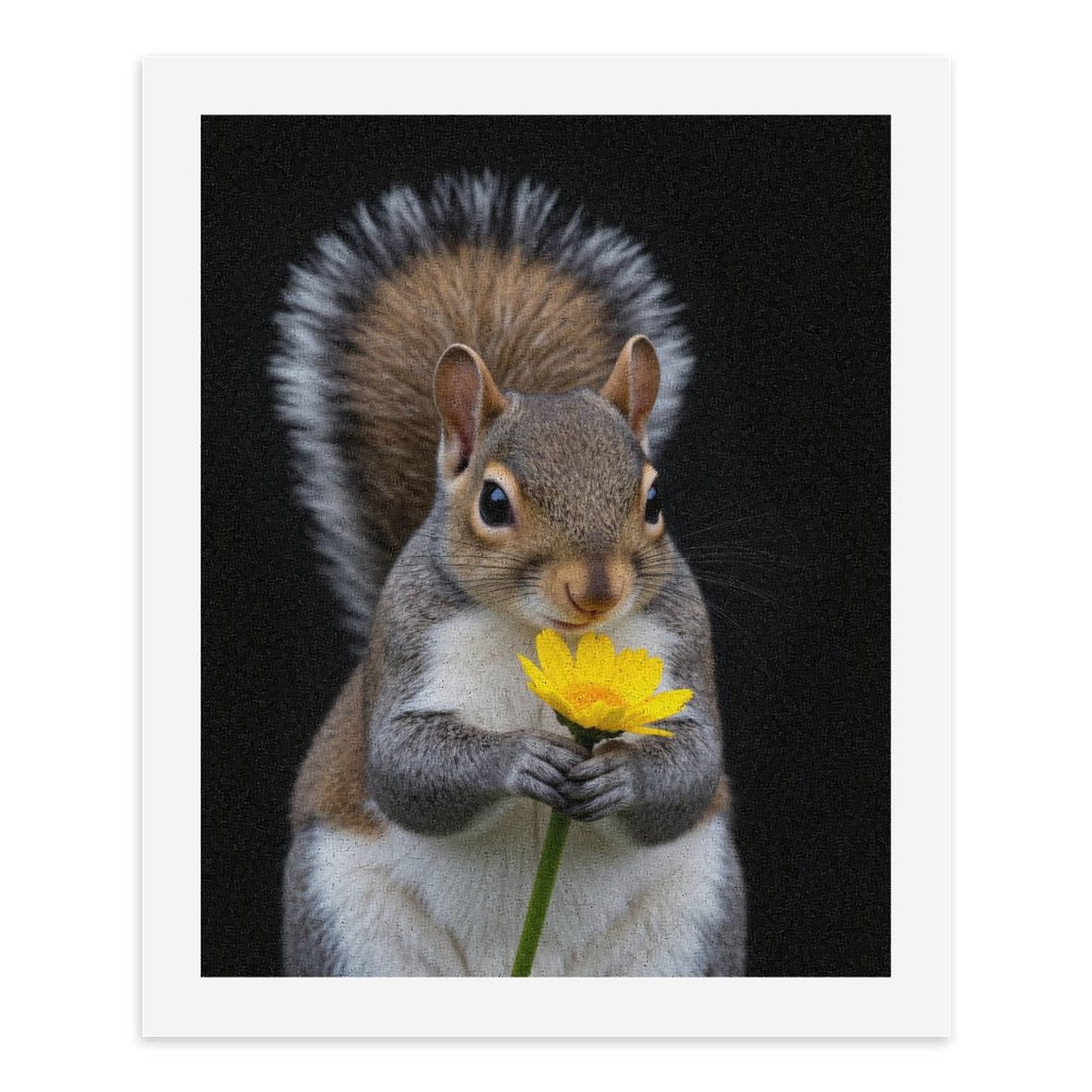 Paint by Numbers Kit for Adults, Squirrel Holding Yellow Flower Paint by Numbers, Easy Paint by Numbers Kit for Adults Beginner, DIY Adult Paint by Number Kits on Canvas, 12x16in Home Decor