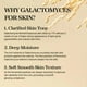 thumbnail image 3 of Mezcla de esencia facial Galactomyces Ferment Essence 100 ml, 3 of 6