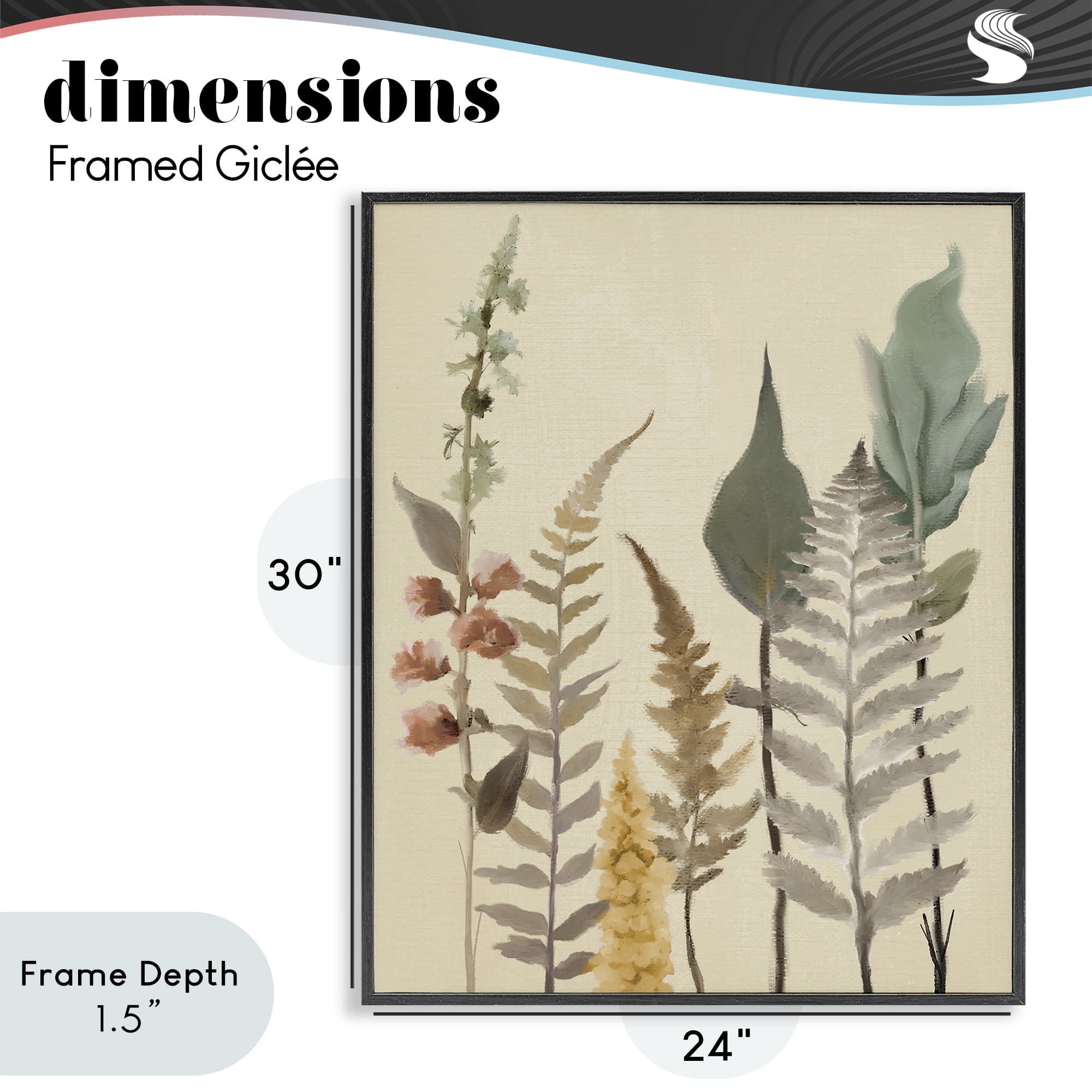 Stupell Industries Fall Botanicals Forest Ferns Black Framed Giclee Art, design by Elizabeth Medley