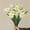 White&Yellow, variant on Multi-head Daffodil Simulation Flower Arrangement Silk Flower Dried Flower Arrangement-White&Yellow