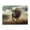 1000 Pieces, variant on 500-Piece Wooden Jigsaw Puzzle for Adults - Rodeo Arena Bull Crowd , Fun & Challenging Brain Teaser, Stylish Home Decor & Unique Gift