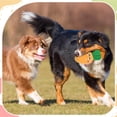 thumbnail image 3 of Multisqueaks Carrot Dog Toy Soft Comfortable Interactive for Dogs, 3 of 3