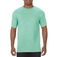 thumbnail image 1 of Comfort Colors T-Shirt Épais pour Adulte, 1 of 1