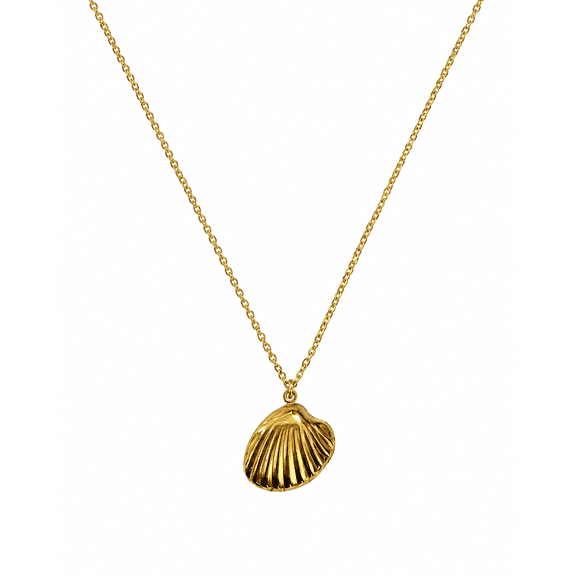 Aksraa jewellery - Seashell Pendant Necklace for Women, Ocean Inspired Minimalist Necklace with Lightweight Chain, Elegant Everyday Jewelry