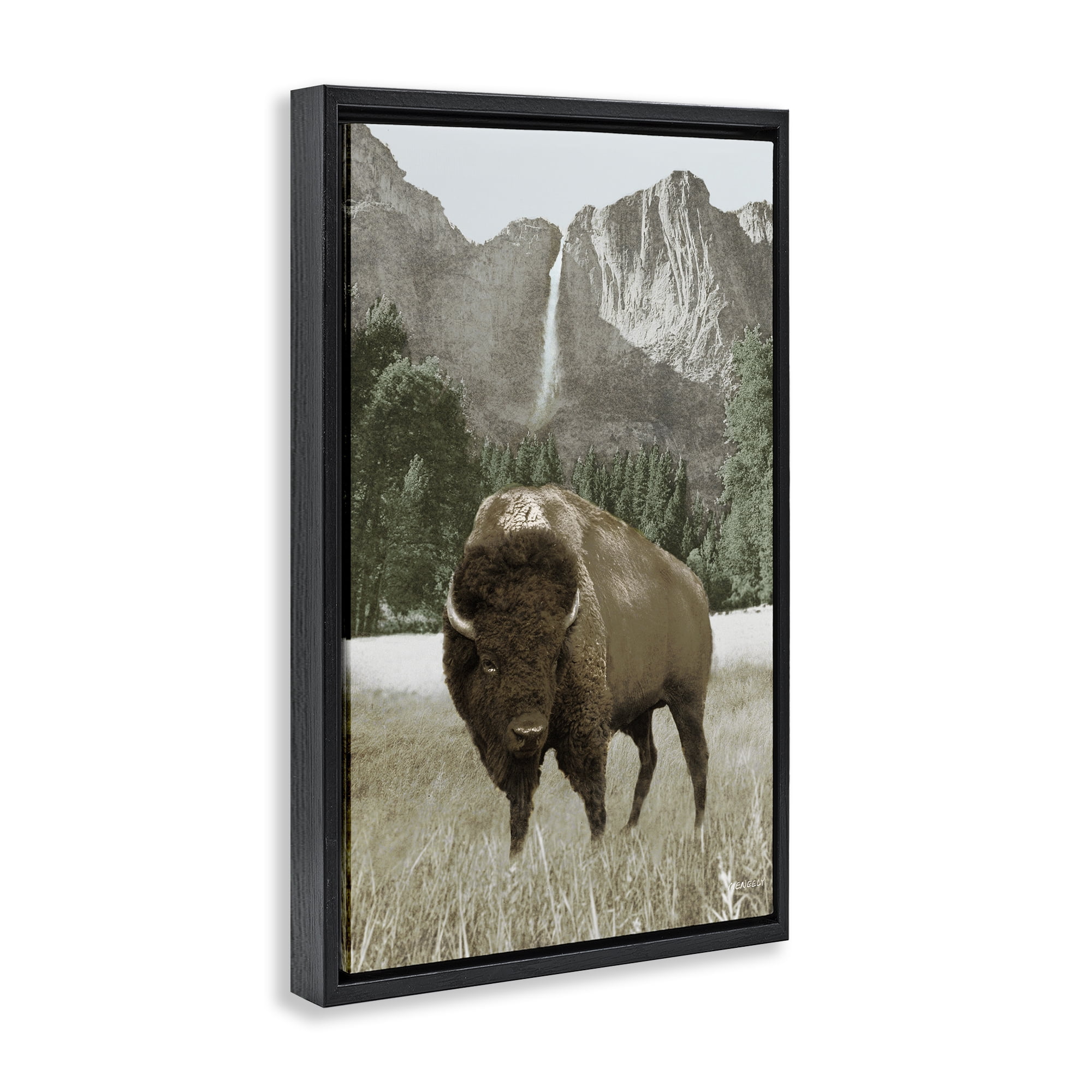 Stupell Industries Bison & Mountain Landscape Animals & Insects Photography Black Floater Framed Canvas Art Print Wall Art, 21 x 31