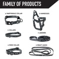 thumbnail image 5 of Wolfgang Heavy Duty Adjustable Dog Harness, Pull-Tested to Over 800 lbs for Walking & Training, WolfMtn Print, X-Large, 5 of 6
