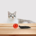 thumbnail image 4 of CHUANK Ball Electric Weasel Toy Rolling Ball Water Mouse Toy for Cat Puppy Dog(Random Color), 4 of 6