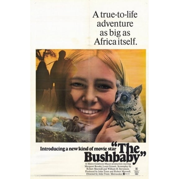 Posterazzi MOV260466 Bushbaby Movie Poster - 11 x 17 in.