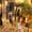 Warm White, variant on Solar Icicle Lights with Handheld Remote- Waterproof 7M 50LED Twinkling Ice Cone Lights- Solar String Lights Outdoor with Remote Control- Garden Window Christmas Wedding.