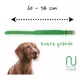 thumbnail image 5 of Collar Premium Para Perros 100% Piel Varios Colores, 5 of 8
