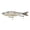 Pro's Choice, variant on 6th Sense Draw 9 in Glide Bait Bass Fishing Lure Designed with for Trophy Bass Fishing