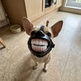 thumbnail image 5 of Funny Dog Muzzle with Teeth, Halloween Pet Costume Accessory with Adjustable Strap, Novelty Rubber Muzzle for Photos, Parties and Short Dress-Up, Black, 1 Count, 5 of 9