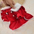 thumbnail image 3 of Falda para perro pequeña de otoño, vestido de princesa para gato, oso, ropa para mascotas, ropa de otoño e invierno, 3 of 6