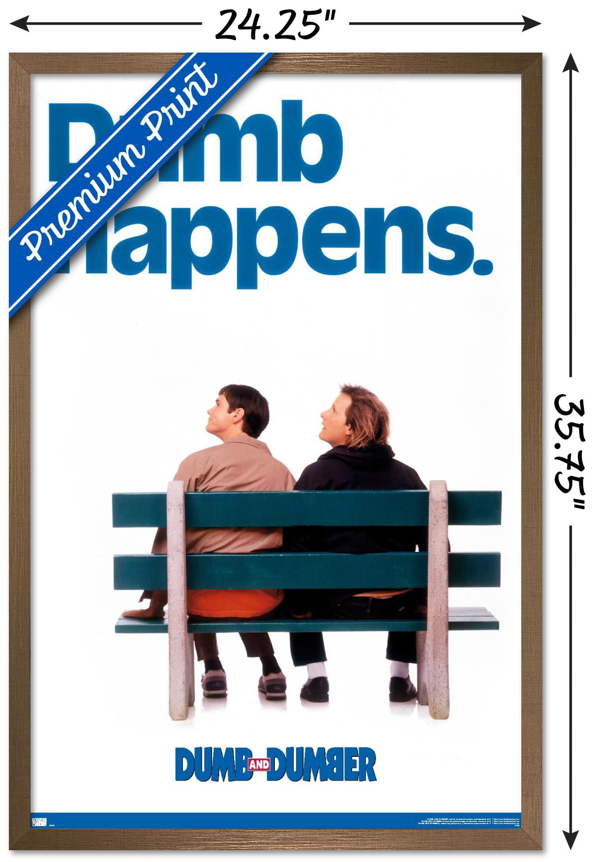 Dumb and Dumber - Dumb Happens Wall Poster, 22.375" x 34", Framed