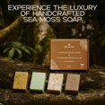 thumbnail image 4 of Barra de jabón TrueSeaMoss Sea Moss con té verde, vegano y orgánico, 4 of 7