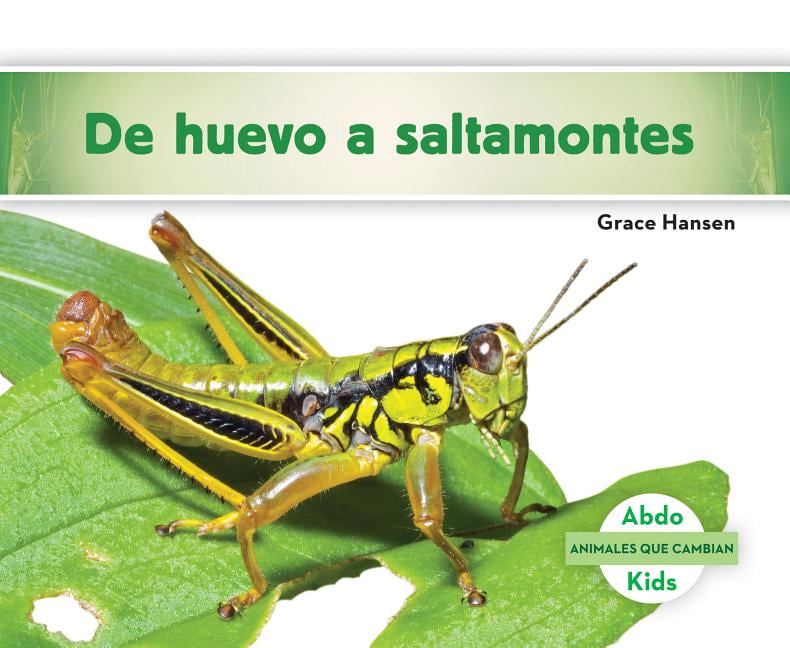 Animales Que Cambian (Changing Animals) de Huevo a Saltamontes