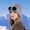 Gray, variant on Trendy Knitted Goggles Beanie Hats for Unisex Thick Fleece Lined Winter Skull Cap with Ear Flaps Windproof Warm Outdoor Sports Cap