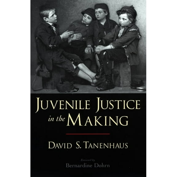 Studies in Crime and Public Policy Juvenile Justice in the Making, (Paperback)