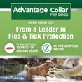 thumbnail image 5 of Advantage Collar Dog, Flea & Tick Collar for Dogs, One Size Fits All, 4-Month Protection, 5 of 12