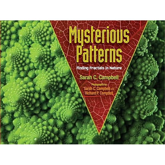 Pre-Owned Mysterious Patterns : Finding Fractals in Nature (Hardcover)
