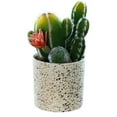 thumbnail image 1 of Flor falsa planta tropical cactus bonsai planta decorativa creativa flor falsa planta verde, 1 of 5