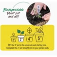 thumbnail image 3 of Jiffy Organic Seed Starting 3" Biodegradable Peat Pots 22 Pots, 3 of 5