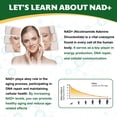 thumbnail image 3 of Tecepec NAD+ with Resveratrol Capsules, 500mg, 120 Count, Supports Cellular Health & Energy, 3 of 7