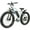 White, variant on Wheelspeed 26" X 4.0" Fat Tire Electric Bike for Adults, 500W Motor 48V 696Wh Battery 85km Long Range 32km/h Electric Bicycle Mountain Bike, Shimano 7-Speed Gear Snow Beach E-Bike