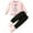 Pink, variant on Girl Long Sleeve Pant Set Baby Boy Clothes Girl Outfits Fashion Sweatshirt Sweat Pant Kids Toddler Tops Pant Sets Size 2T 3T (Light Purple,2-3 Years)