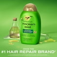 thumbnail image 2 of Champú OGX Clarifying Strength + Rosemary Mint 385 ml, 2 of 7