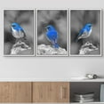 thumbnail image 2 of wall26 3 Panel Framed Canvas Wall Art - Color Splash of Blue Bird with Black and White Background - Giclee Print Gallery Wrap Modern Home Art Ready to Hang - 24"x36"x3 White, 2 of 5