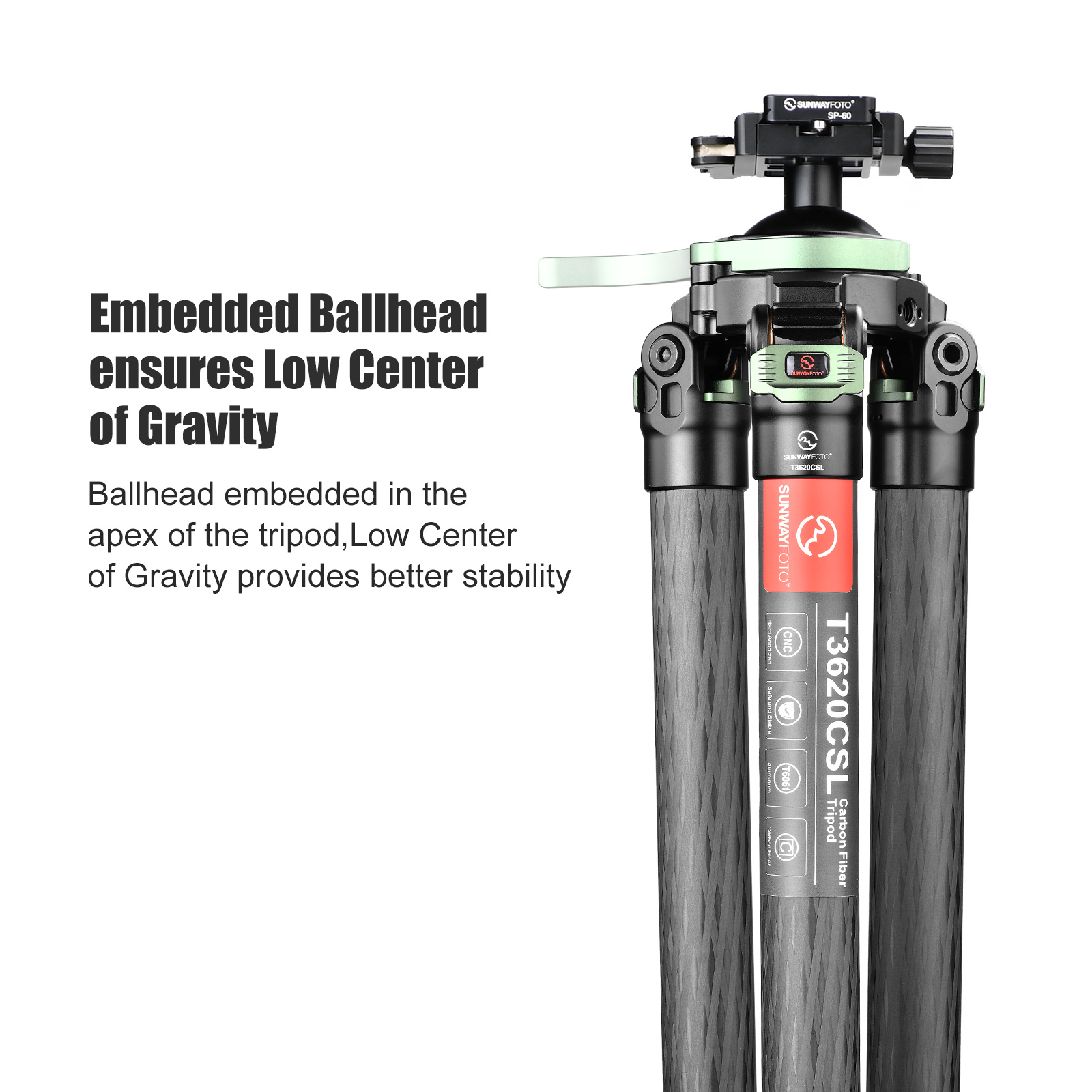 SUNWAYFOTO T3620CSL, 68” Tall Carbon Fiber Tripod with 65mm Hunting Ballhead for Rifle, 36mm Tubes Two Section