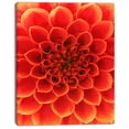 thumbnail image 2 of Orange Abstract Floral Design - Floral Canvas Art Print, 2 of 3