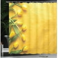 thumbnail image 3 of Ambesonne Yellow Shower Curtain, Tulip Flowers Garden, 69"Wx75"L, Yellow Green, 3 of 4