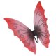 thumbnail image 1 of Pequeño Diablo Niños Adultos Insectos Alas De Hadas Vestir Halloween Cosplay Alas Sunnimix Alas de hada, 1 of 7