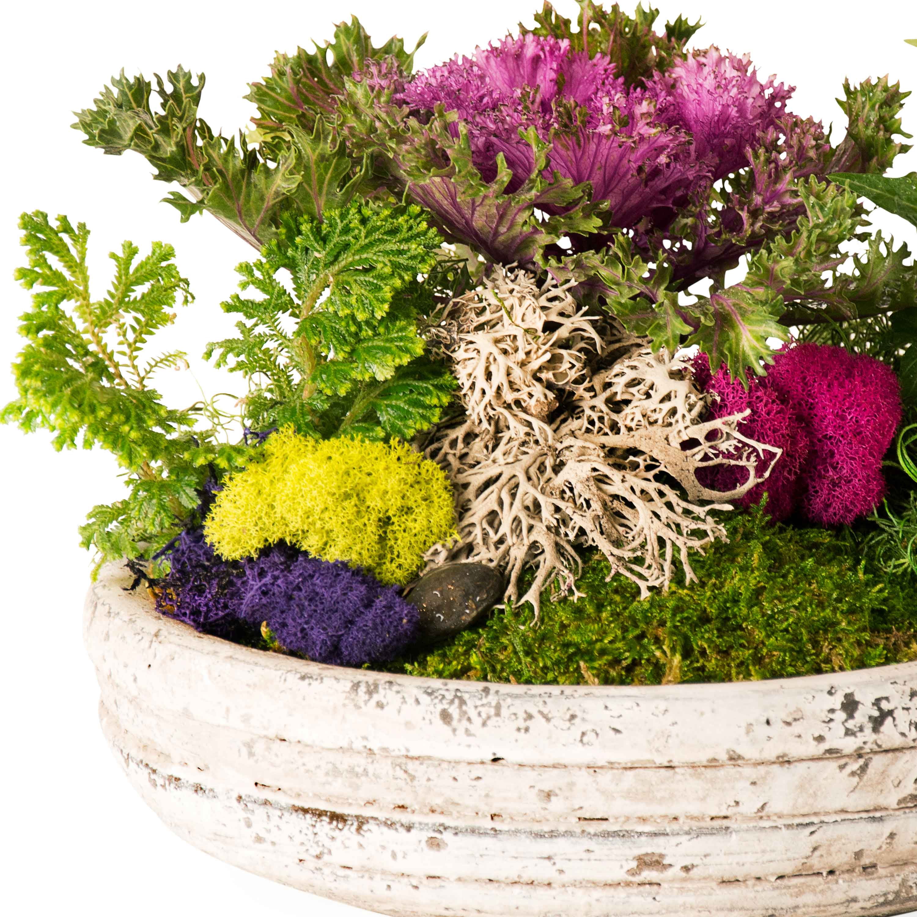 ProFlora Preserved Reindeer Moss, Chartreuse Green