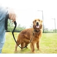 thumbnail image 2 of One piece of pet supplies cotton foam handle large dog leash Amazon walking dog leash dog chain outdoor training（Black-10m2.5cm）, 2 of 5