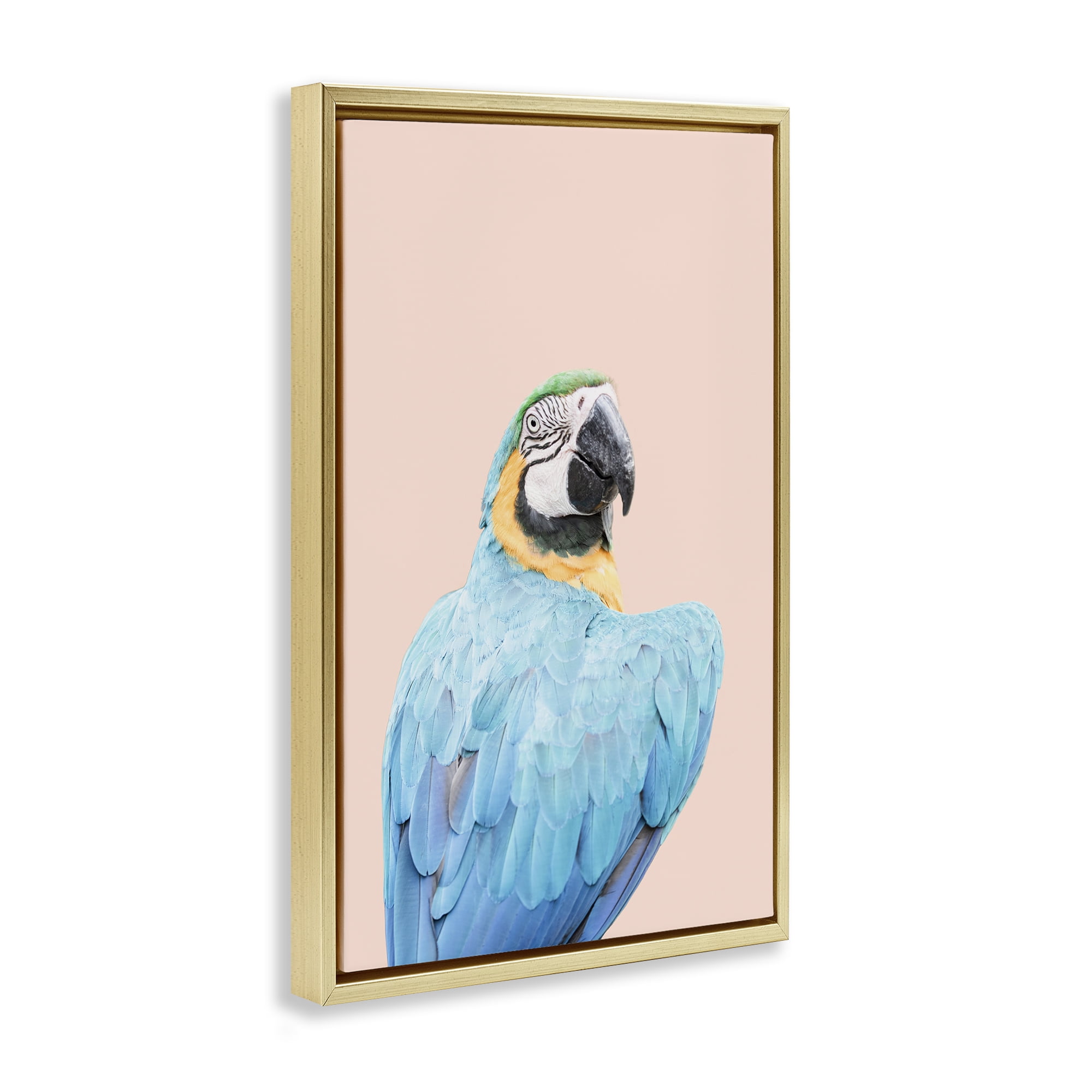 Stupell Industries Blue Ara Macaw Animals Painting Gold Floater Framed Canvas Art Print Wall Art, 17 x 25