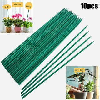 Moss Pole - Moss Plant Sticks - Triani 4 Moss Stick for Potted Plants -  15.7Inch Plant Twist Tie - Coir Pole - Moss Stick - for Deliciosa Pothos  Creepers Plant Support Upward Extension - Brown 