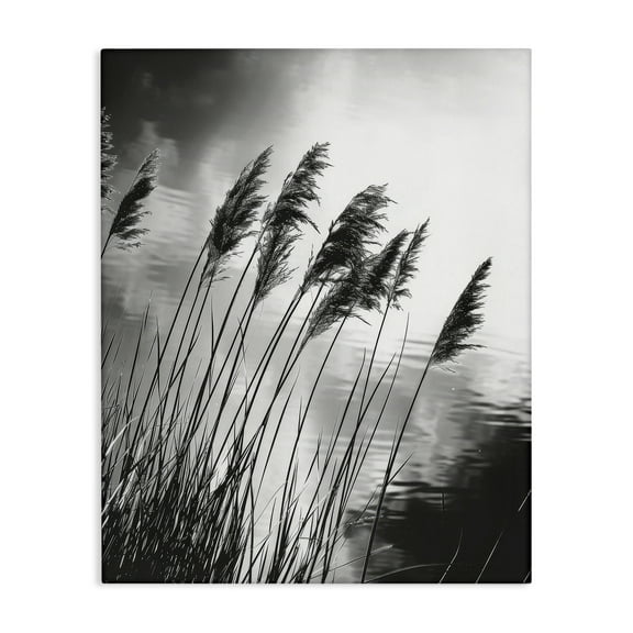 Stupell Industries Stark Contrast Wheat Landscape & Nature Photography Wrapped Canvas Art Print Wall Art, 16 x 20