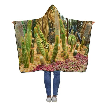 ASHLEIGH Cactus Pattern Hooded Blanket 50x60 inches Kids ...