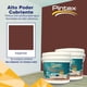 thumbnail image 2 of PINTEX Kit Pinta-me 2 Galones Pintura Vinil-Acrílica 3.8 L c/u | Incluye Brocha, Rodillo, Felpas, Masking Tape y Plastiprotector | Acabado Mate | Interiores y Exteriores | Marron, 2 of 5
