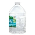 ZEPHYRHILLS Brand 100 Natural Spring Water, 101.4ounce plastic bottle