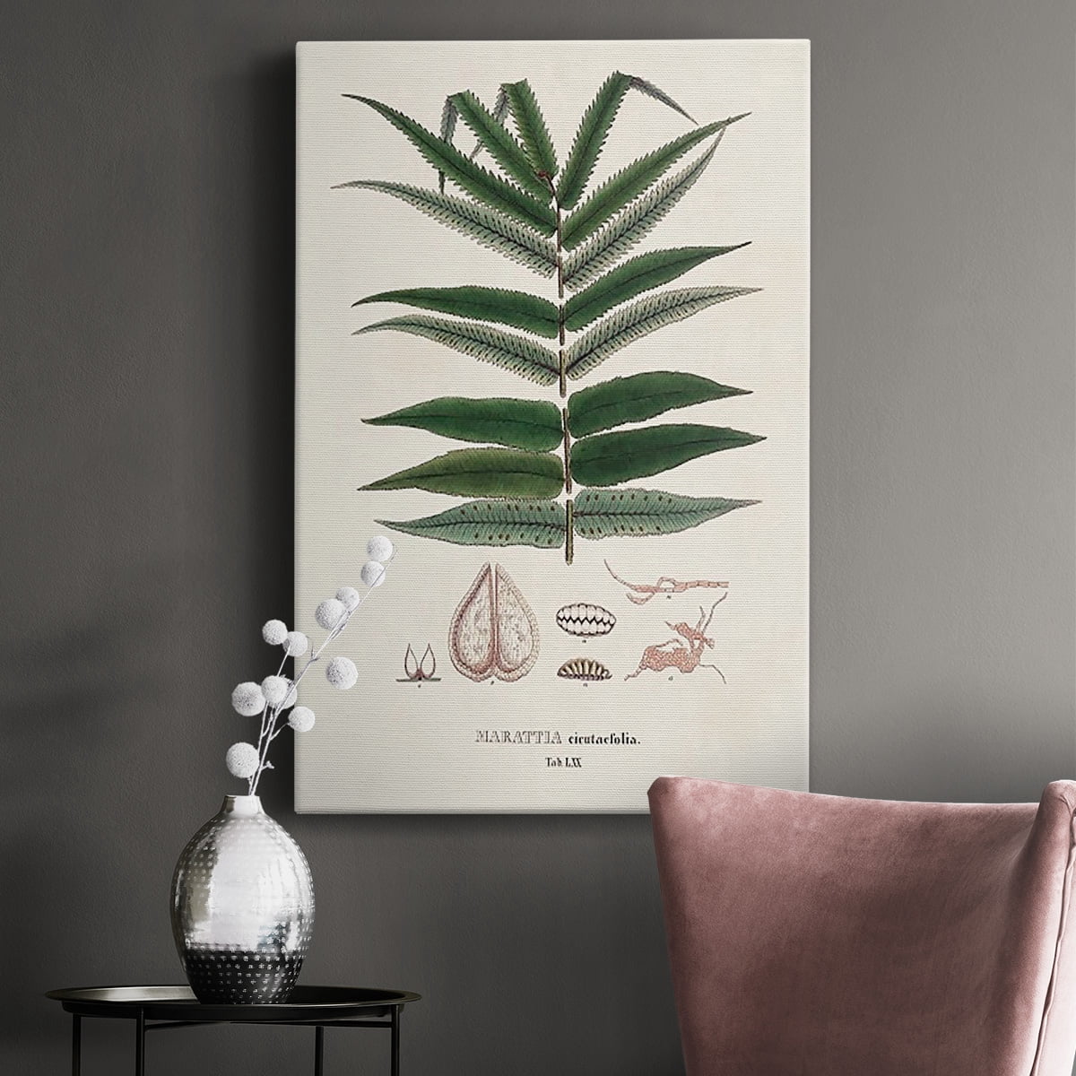 Botanical Society Ferns XII Premium Gallery Wrapped Canvas - Ready to Hang