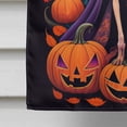 thumbnail image 4 of Italian Greyhound Witchy Halloween House Flag, 4 of 7