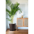 thumbnail image 4 of 2 Macetas Grande Moderna Minimalista Interior Exterior Plato CAFE, 4 of 5