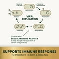 thumbnail image 6 of VetriScience Lysine Immunity Health, Immune Support Supplement for Cats, Chicken Flavor, 120 Chews, 6 of 13