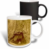 3drose, Giant Sequoia Calaveras Big Trees State Park California Pioneer Cabin, 11oz Magic Transforming Mug